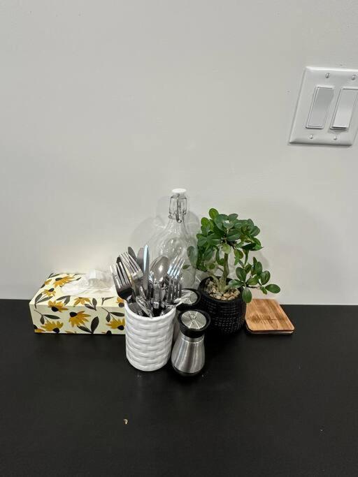 Hébergement de vacances The Urban Nest Calgary