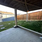 The Urban Nest