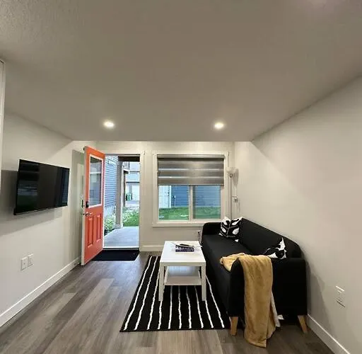 The Urban Nest